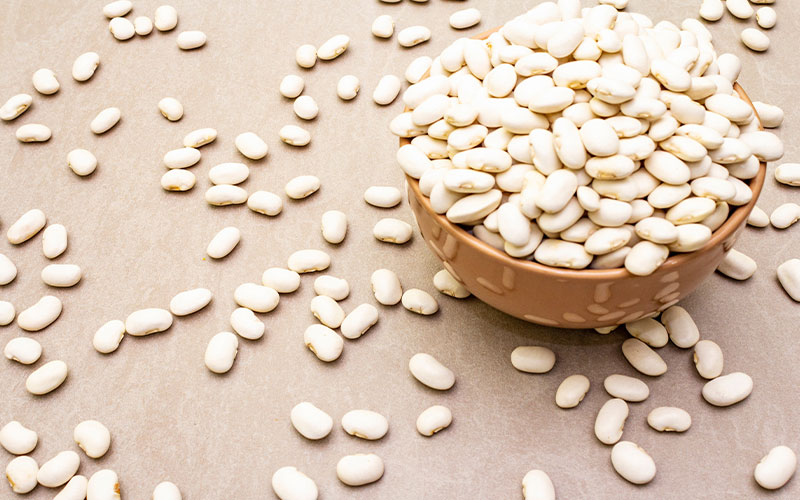 White Kidney Bean